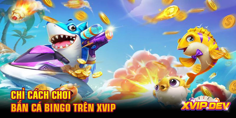 Chỉ cách chơi bắn cá Bingo trên Xvip
