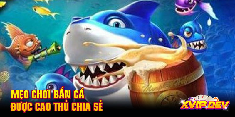 Mẹo chơi bắn cá được cao thủ chia sẻ