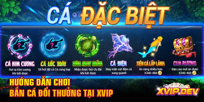 Hướng dẫn chơi bắn cá đổi thưởng tại Xvip