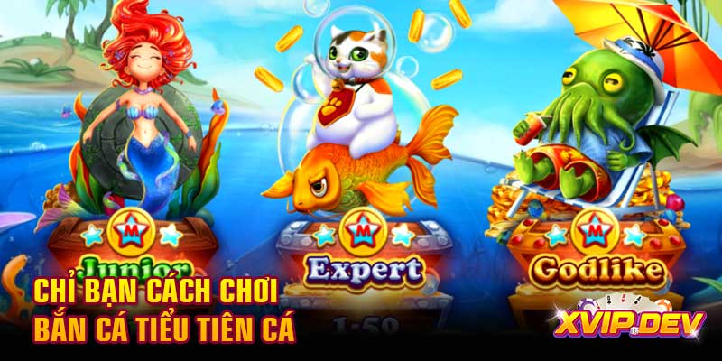 Chỉ bạn cách chơi bắn cá Tiểu Tiên Cá