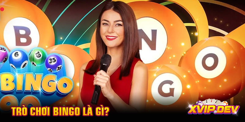 Trò chơi Bingo là bộ môn gì? Trò chơi Bingo là bộ môn gì?
