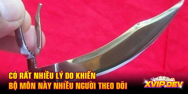 Có rất nhiều lý do khiến bộ môn này nhiều người theo dõi