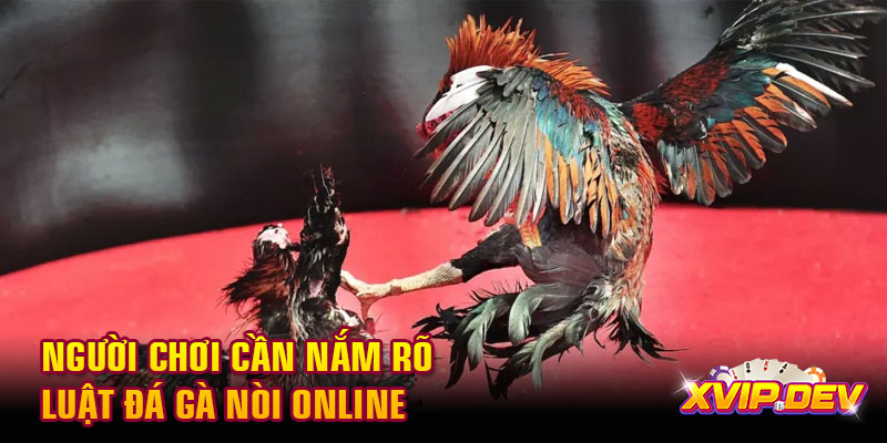 Người chơi cần nắm rõ luật đá gà nòi online