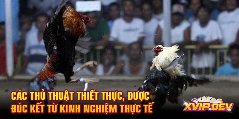 Các thủ thuật thiết thực, được đúc kết từ kinh nghiệm thực tế