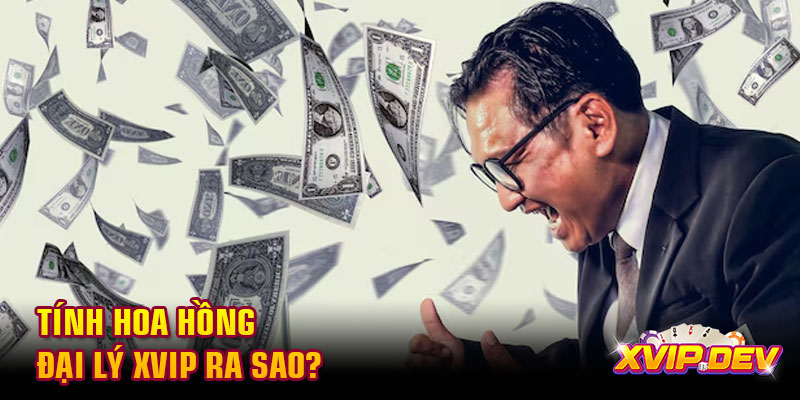 Tính hoa hồng đại lý Xvip ra sao?