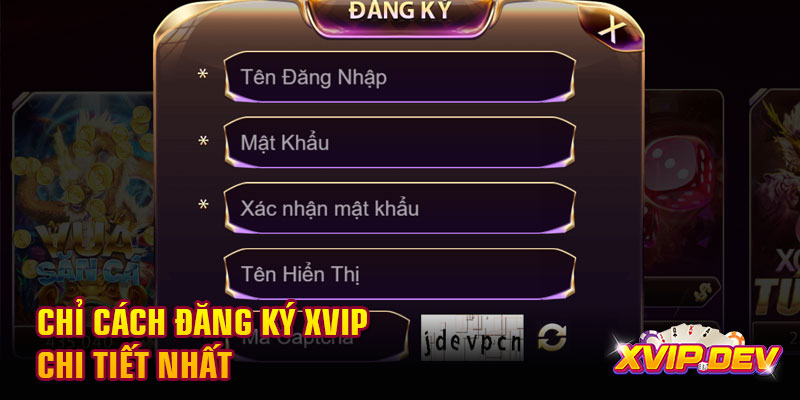 Chỉ cách đăng ký Xvip chi tiết nhất