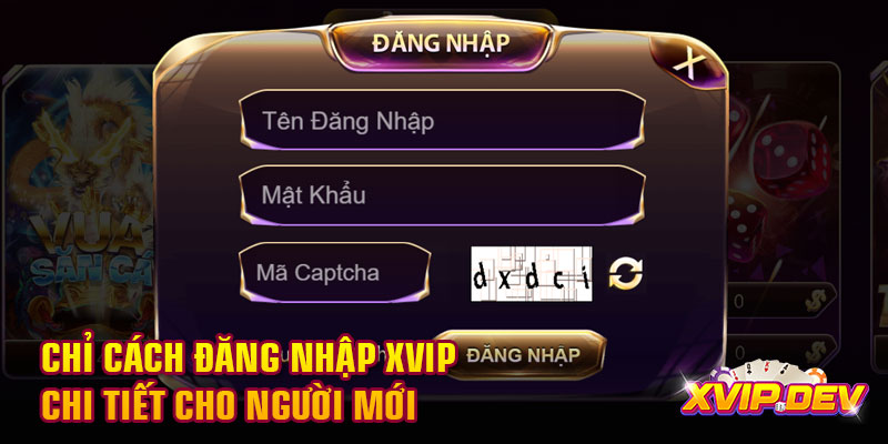Chỉ cách đăng nhập Xvip chi tiết cho người mới