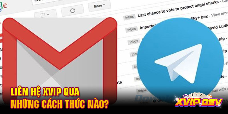 Liên hệ Xvip Liên hệ Xvip qua những cách thức nào?