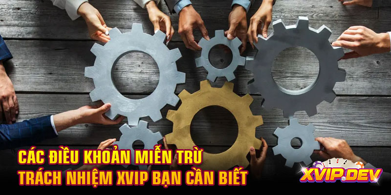 Các điều khoản miễn trừ trách nhiệm Xvip Các điều khoản miễn trừ trách nhiệm Xvip bạn cần biết