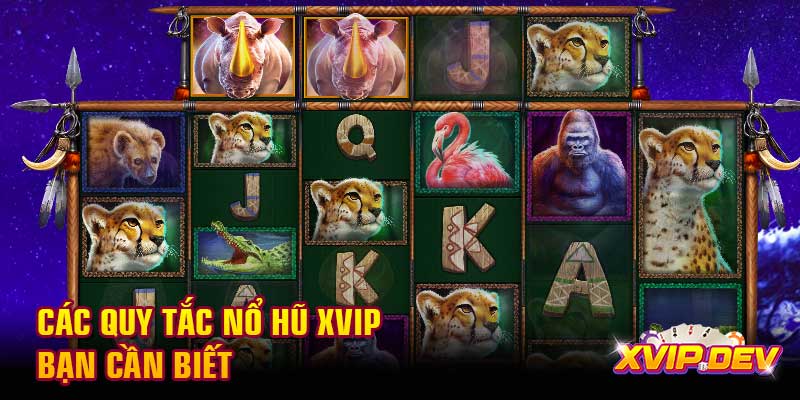 Các quy tắc nổ hũ Xvip bạn cần biết Các quy tắc nổ hũ Xvip bạn cần biết