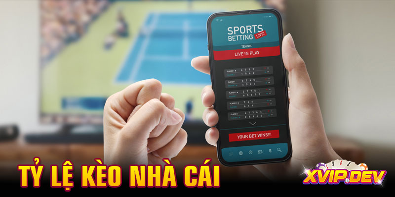 Tỷ lệ kèo nhà cái là gì? Cách đọc và đặt cược hiệu quả